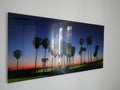 Plexiglass picture of Venice Beach purple sunset