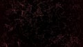 Plexus structure; abstract plexus; medical hexagon; technology hexagons Royalty Free Stock Photo
