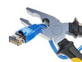 Pliers cutting lan network computer cable. Internet connection d