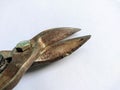Pliers are shaped like a serrated beaked parrot