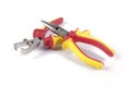 Pliers and wire stripper