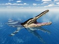 Pliosaur Kronosaurus Royalty Free Stock Photo