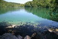 Plitvice lake fishes