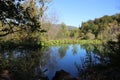 Natural Lake And Plants