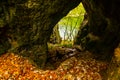 Plitvice lakes are the best destinations for those who love nature Royalty Free Stock Photo