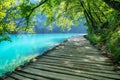 Plitvice lakes in Croatia. National Park in summer. Waterfalls and lakes among the forest. Footpath for hiking. Royalty Free Stock Photo