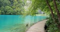 Walking by the Plitvice lakes, Croatia Royalty Free Stock Photo