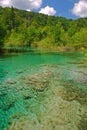 Plitvice Lakes National Park Croatia Royalty Free Stock Photo