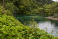 Plitvice Lakes National Park, lake, aquatic plants, forest, green, environment, mountain, nature reserve, Croatia, Europe Royalty Free Stock Photo