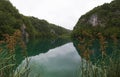 Plitvice Lakes National Park, lake, forest, green, environment, mountain, nature reserve, Croatia, Europe Royalty Free Stock Photo