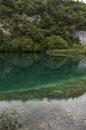 Plitvice Lakes National Park, lake, forest, green, environment, mountain, nature reserve, Croatia, Europe Royalty Free Stock Photo