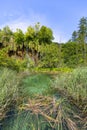 Plitvice Lakes National Park, a miracle of nature, beautiful landscape with a lake with turquoise water, Croatia Royalty Free Stock Photo