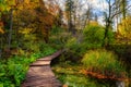 Plitvice lakes Plitvicka jezera national park, Croatia. Amazing autumn sunny landscape Royalty Free Stock Photo