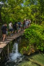 Crowd of tourists walking on boardwalk in stunning Plitvice Lakes