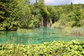 Plitvicka lakes Royalty Free Stock Photo