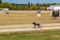 Ploiesti, Romania - October 10, 2018: Jockey and horse participating in a horse race using sulky on Ploiesti Hippodrome in Prahova Royalty Free Stock Photo