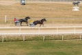 Ploiesti, Romania - October 07, 2018: A trotting horse race held on Ploiesti Hippodrome in Prahova, Romania Royalty Free Stock Photo