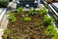 plot of land in a cemetery to a new grave