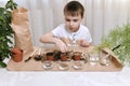 Planting micro greens seeds in pots. The boy looks and throws seeds into pot of earth