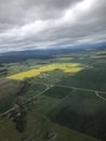 Yellow canola fields from the air