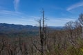 Plott Balsam overlook. View of the Qualla reservation