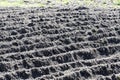 Plough agriculture field before sowing