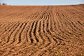 Plough agriculture field before sowing