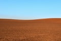 Plough agriculture field before sowing