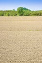 Plough agriculture field before sowing Royalty Free Stock Photo
