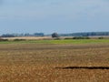 Plough-land and forest on horizon