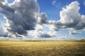 Plough plowed brown clay soil field