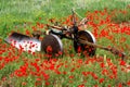 Plough and poppies