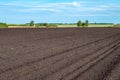 Ploughed arable land on the horizon, the forest and the sky