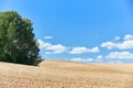 Ploughed arable plowing agricultural land plowed for crops with birch trees under blue sky with clouds conceptual