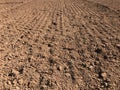 Ploughed and cultivated field, bare earth Royalty Free Stock Photo