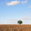 Ploughed Earth Royalty Free Stock Photo