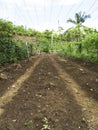 Ploughed farm land in Balamban, Cebu, Philippines Royalty Free Stock Photo