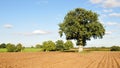Ploughed Farmland Royalty Free Stock Photo