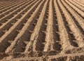 Ploughed Farmland Earth Furrows