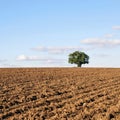 Ploughed Farmland Soil Royalty Free Stock Photo