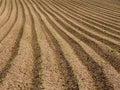 Ploughed field Royalty Free Stock Photo