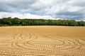 Ploughed field