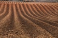 Ploughed field