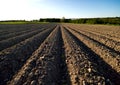 Ploughed field Royalty Free Stock Photo