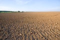 Ploughed field