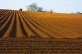 Ploughed field