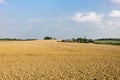 Ploughed field in autumn Royalty Free Stock Photo
