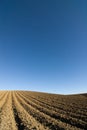 Ploughed field blue sky Royalty Free Stock Photo