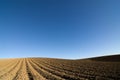 Ploughed field blue sky