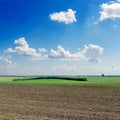 Ploughed field and deep blue sky Royalty Free Stock Photo